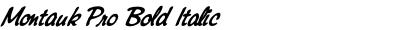 Montauk Pro Bold Italic